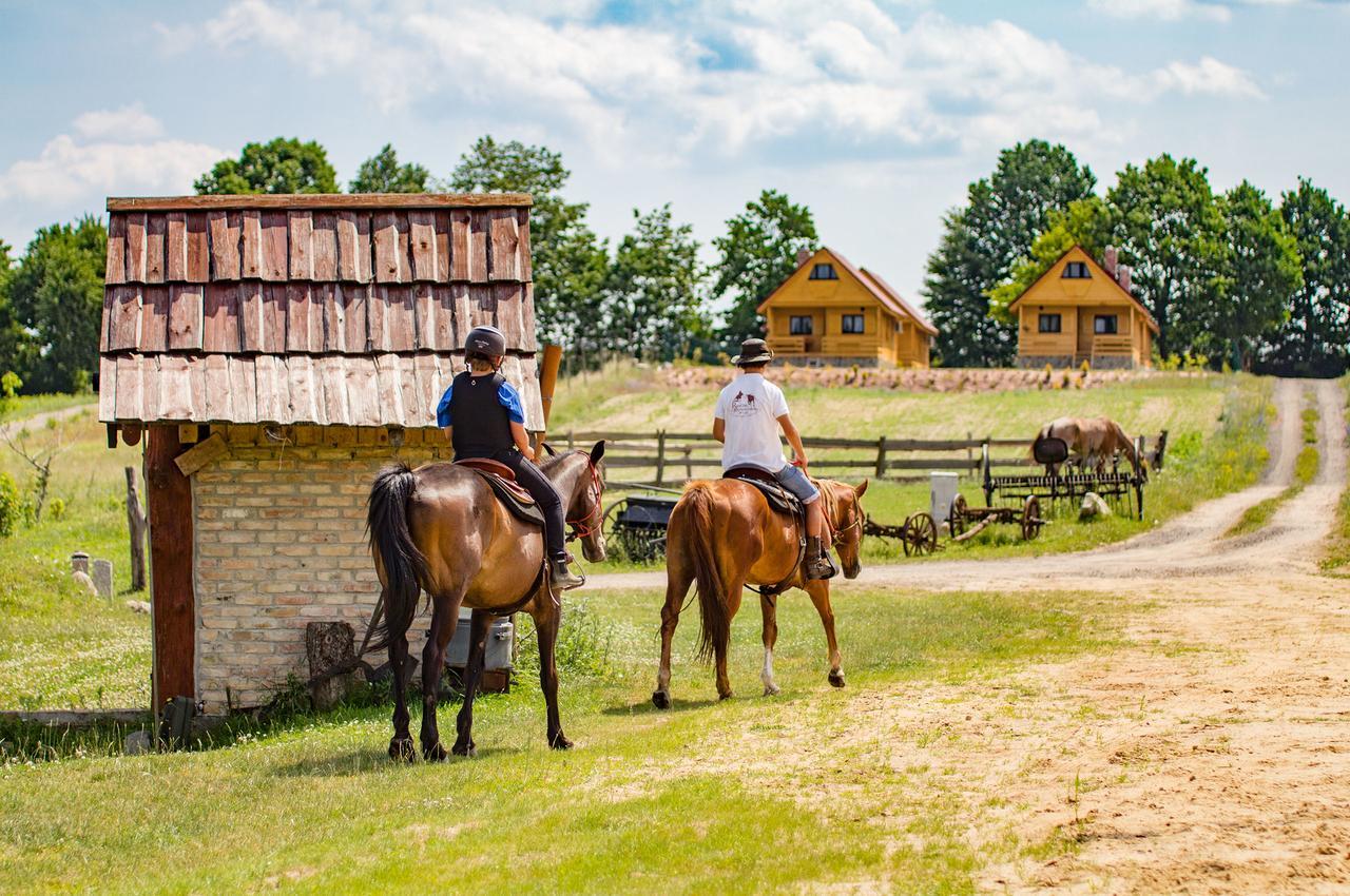 Osada Lagowek - Domek Letniskowy Do Wynajecia ภายนอก รูปภาพ